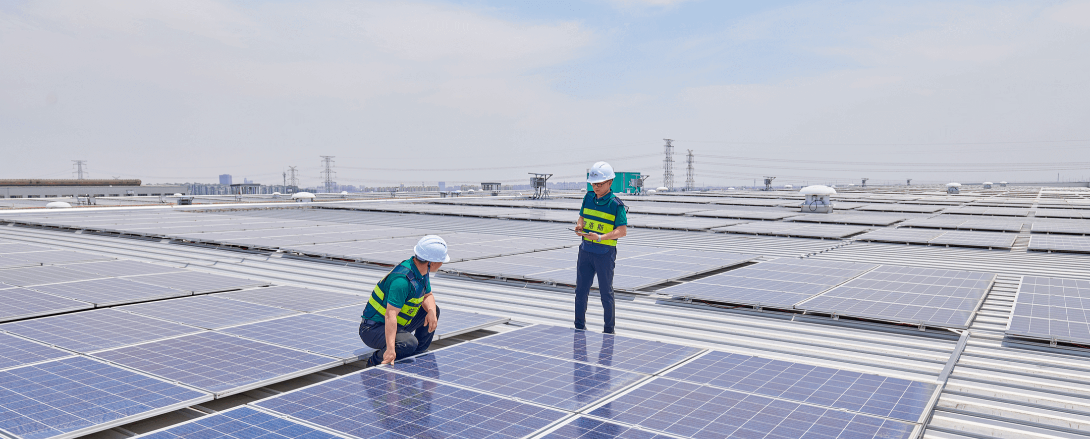 �����ִ�ƽ̨|�����ά