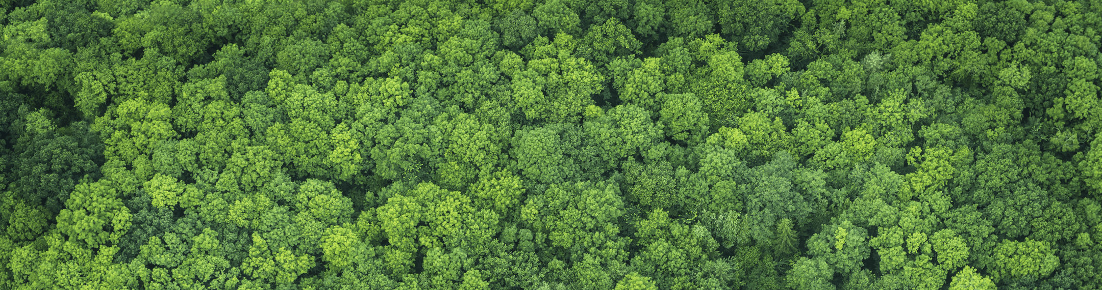 ����-���α��������������������