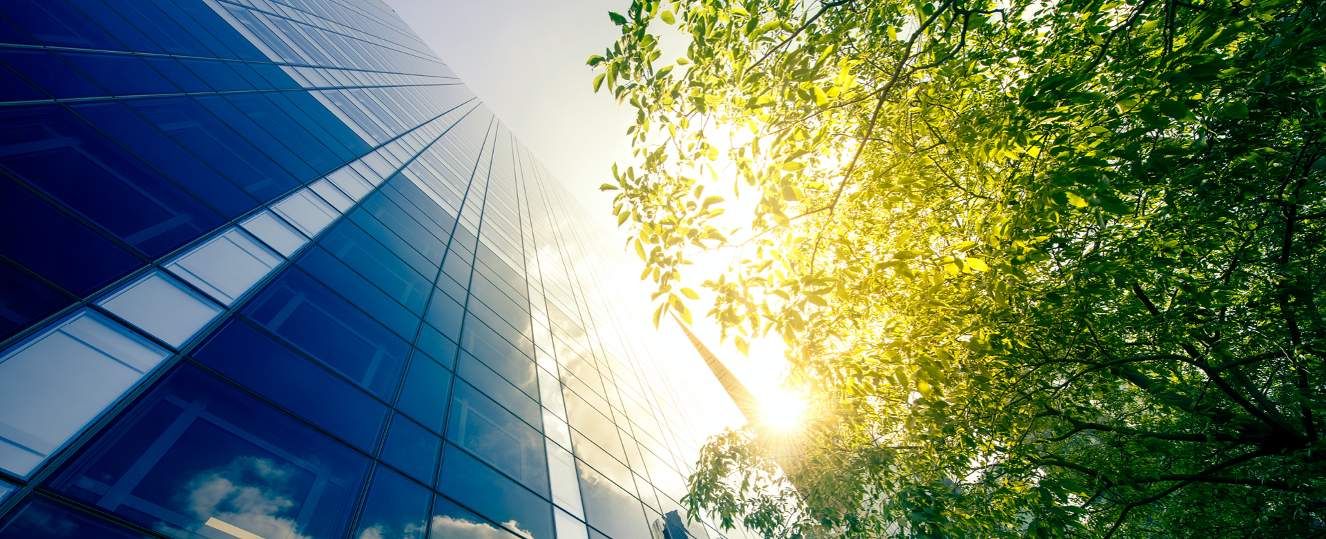 ��˾����|˽ļͶ�ʻ���������˾|��Ӧ�����ڽ���ƻ�