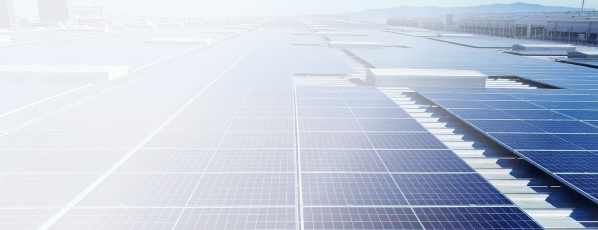 ���Ǽ��Ź���