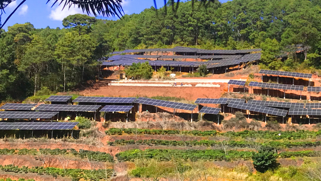 ���Ǽ��Ź���